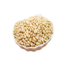 chinese bulk organic dried fruit pine nuts